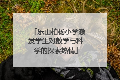 乐山柏杨小学激发学生对数学与科学的探索热情